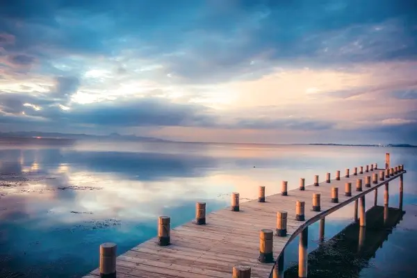 电脑显示什么牌子好