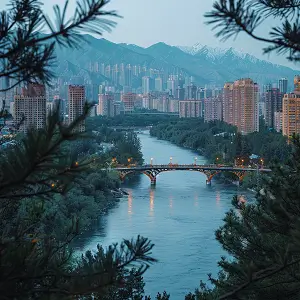 电脑达人指什么